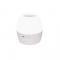 2 IN 1 8W LED NIGHT LIGHT & PROJECTOR WITH 4 PATTERNS AND 1M USB CABLE OR 3XAA BALLOON