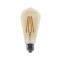 LED FILAMENT E27 ST64  AMBER 10W 2700K 230V AC 1160LM RA80 CONDI10WWAM