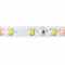 LED STRIP 5M 4.8W/M 570LM/M 12V DC IP65 NANO 6500K Ra80 8mm 1228354865PC