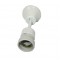 LAMP HOLDER + CABLE AC.426891