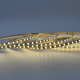^LED SMD STRIP 24VDC 9.6W/M 3000K 1010LM/M IP20 5MM CRI80 EPISTAR 2835 120LEDS/M 5SDCM 5M REEL3YRS 24968030SL