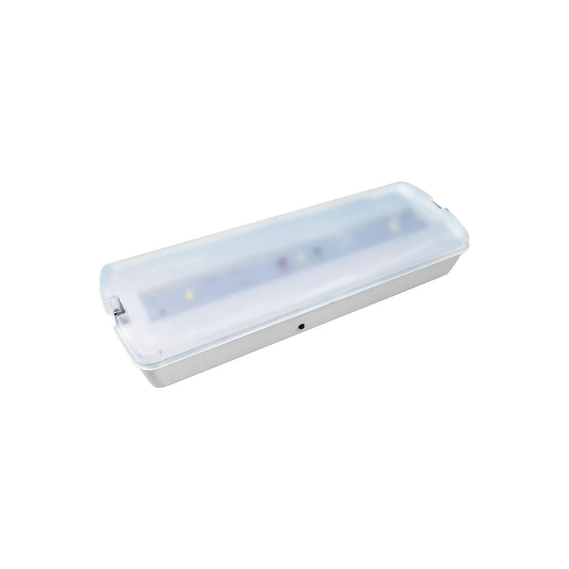 LED EMERGENCY LIGHT 2W SMD5730 3HRS100LM 6000K 230V HAPES263