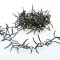 ^ 700 CLUSTER LED STRING LIGHTS (PER 5cm), WW, ADAPTOR (31VDC) & 8 FUNCTIONS,IP44, 11.5m, GREEN CABLE X087001122