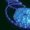 BLUE 3-WIRE LED ROPE LIGHT, REEL 50m 36L/m CUT PER 2m IP44 + 3 SET ACCESSORIES X0818622