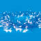 ^ 50LED STRING LIGHTS BATTERY (2xAA), BLUE STEADY,IP20, 490+30cm, TRAN/RENT LEAD CABLE X0650612