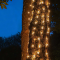 ^ 50 LED NET LIGHT, WARM WHITE, ADAPTOR 24VDC, CONNECTABLE MAX 12 SETS, IP44, 55x80cm, GREEN CABLE & 5 HOOKS X0850111