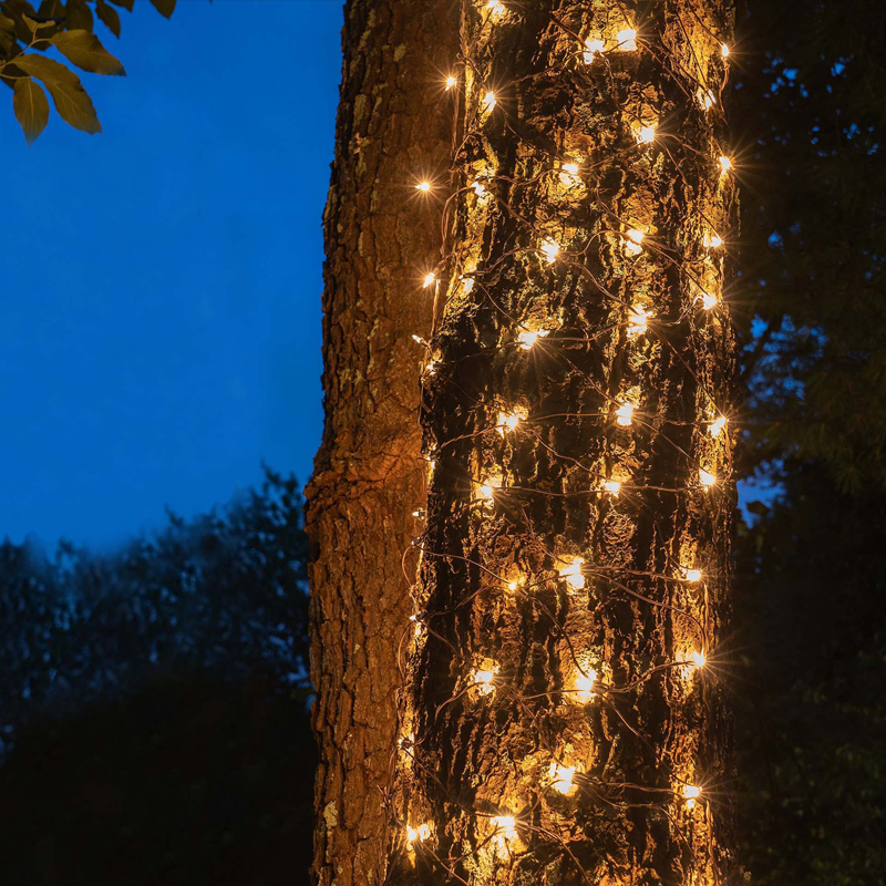 ^ 50 LED NET LIGHT, WARM WHITE, ADAPTOR 24VDC, CONNECTABLE MAX 12 SETS, IP44, 55x80cm, GREEN CABLE & 5 HOOKS X0850111