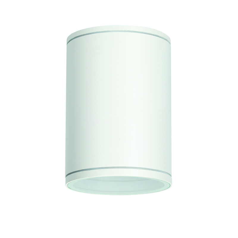 ^E27 PAR30  ROUND CEILING LUMINAIRE 230V AC MATT WHITE IP65 MAX.35W LG2302E27W