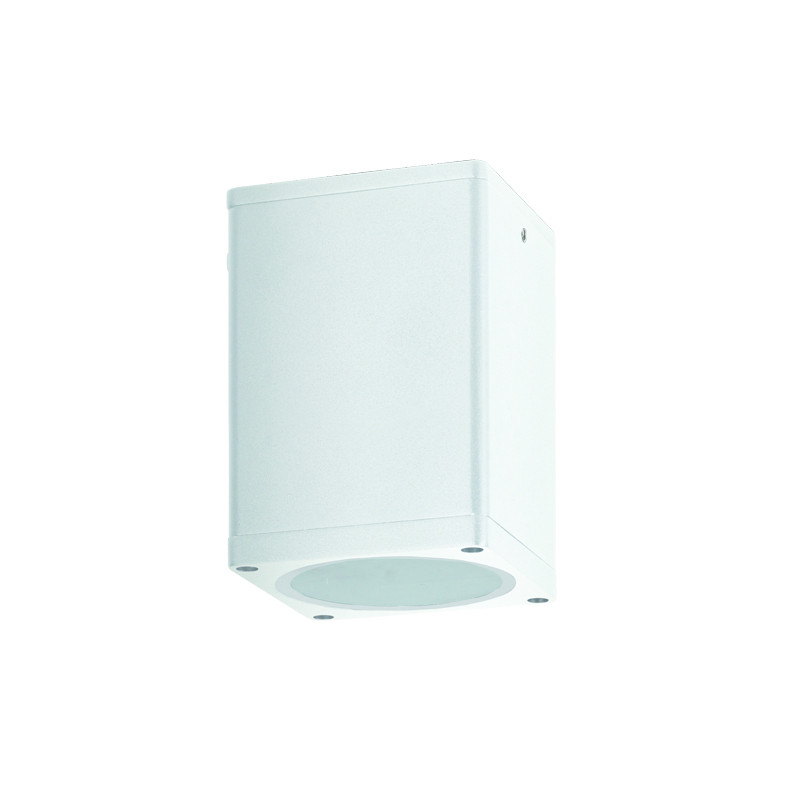 ^E27 PAR30 SQUARE  CEILING LUMINAIRE 230V AC MATT WHITE IP65 MAX.35W LG2402E27W