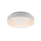CEILING LIGHTING LED 48W CCT LM WHITE METALLIC D60XH14CM APOLLO BR81LEDC60WHCCT