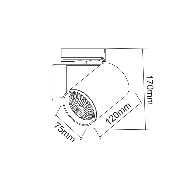 ΑΜΜΩΔΕΣ ΜΑΥΡΟ LED ΣΠΟΤ ΡΑΓΑΣ 20W 3000K 1-PHASE 38° 2200LM 230V AC Ra80 5YRS LISOR2030B2N