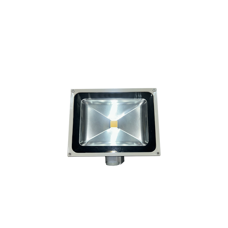 30W LED PROJECTOR 2700K 2250Lm 230V LED3027S