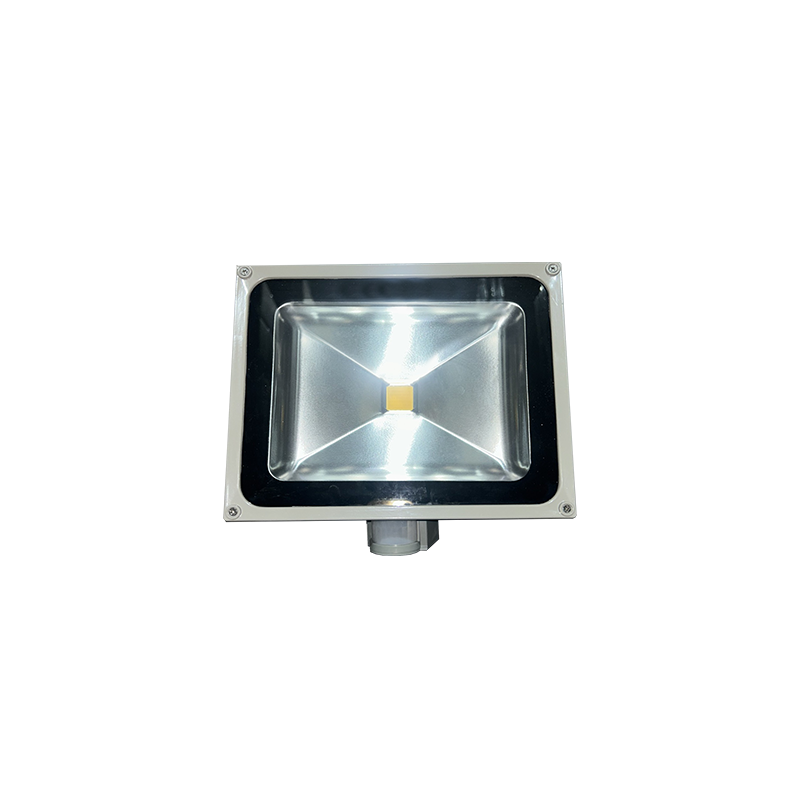 30W LED PROJECTOR 6500K 2300Lm 230V LED3065