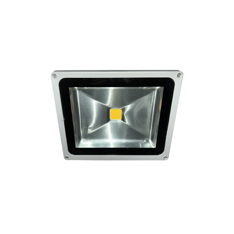 LED PROJECTOR 50W 4000K LED4050