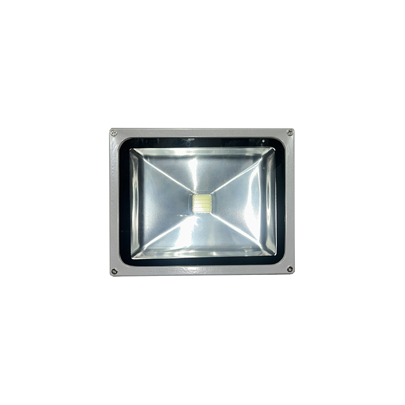 LED PROJECTOR 30W 6500K 12V DC LED6530DC