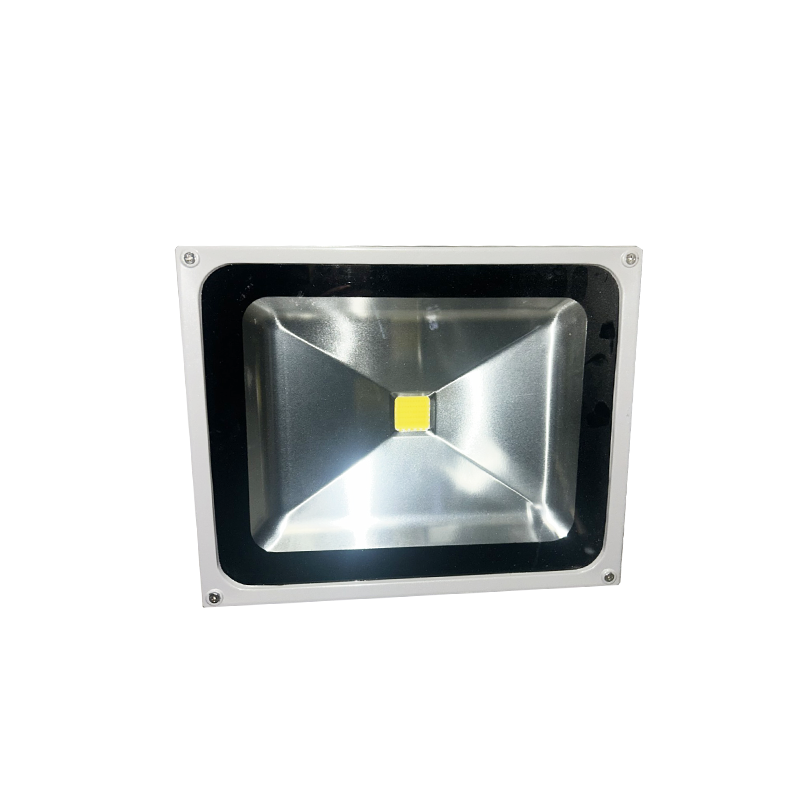 LED PROJECTOR 50W 6500K LED6550