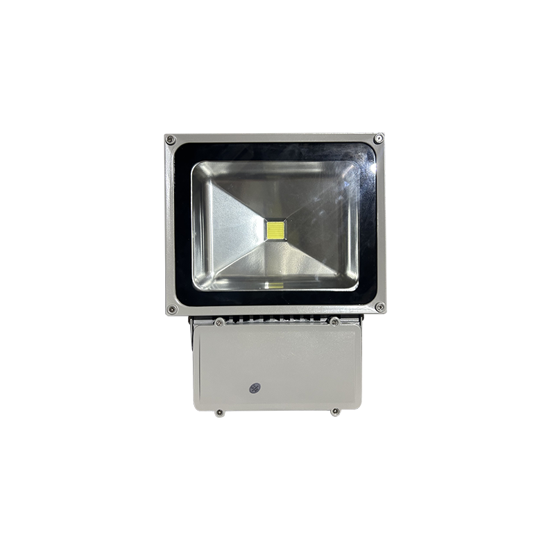 ΠΡΟΒΟΛΕΑΣ LED 60W 6500K LED6560