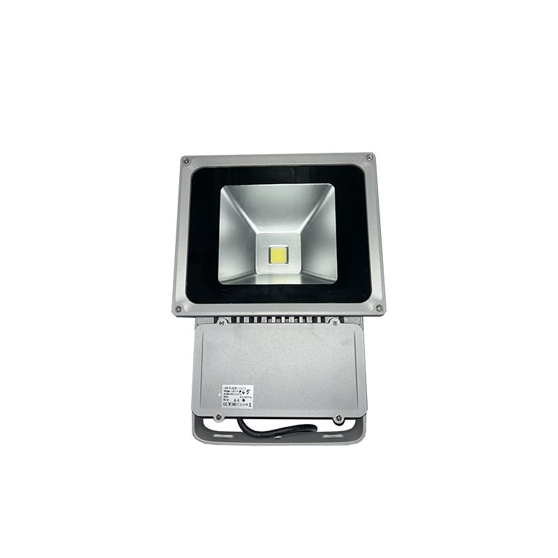 80W LED PROJECTOR 6500K 5850Lm 230V LED8065
