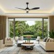 CEILING FAN DIM BLACK WITH 3 BLADES ABS REMOTE CONTROL & TIMER LED 24W 2400L DC 45W 1320mm FANGS424B