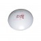 NETTO 501-Y254 CEILLING LAMP D30 358501Y25432