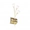 NETTO WALL LAMP 3X20W G4 EKO GM EKOMB410153A
