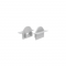 SET OF GREY PLASTIC END CAPS FOR P101, 1 WITHOUT HOLE   1 WITH HOLE EP101