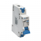 MCB 1P D63 6KA 1M DY02060497