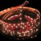 NETTO LED STRIP 5M 4,8W/M 12V DC IP68 RED 352860RPPC
