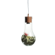PHASING OUT PENDANT 1ΧGU10 METAL COLOR WOOD + GLASS Φ20ΧΗ120CM POTHOS V120BU