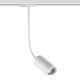 WHITE LED TRACK LIGHT 10W 4000K 2WIRES 24° 900LM 230V Ra80 OLIV1040W2 WHITE LED TRACK LIGHT 10W 4000K 2WIRES 24° 900LM 230V Ra80 OLIV1040W2