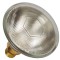 LED ПРОЖЕКТОР PAR38 80W 42V 30° ПРОЗРАЧЕН