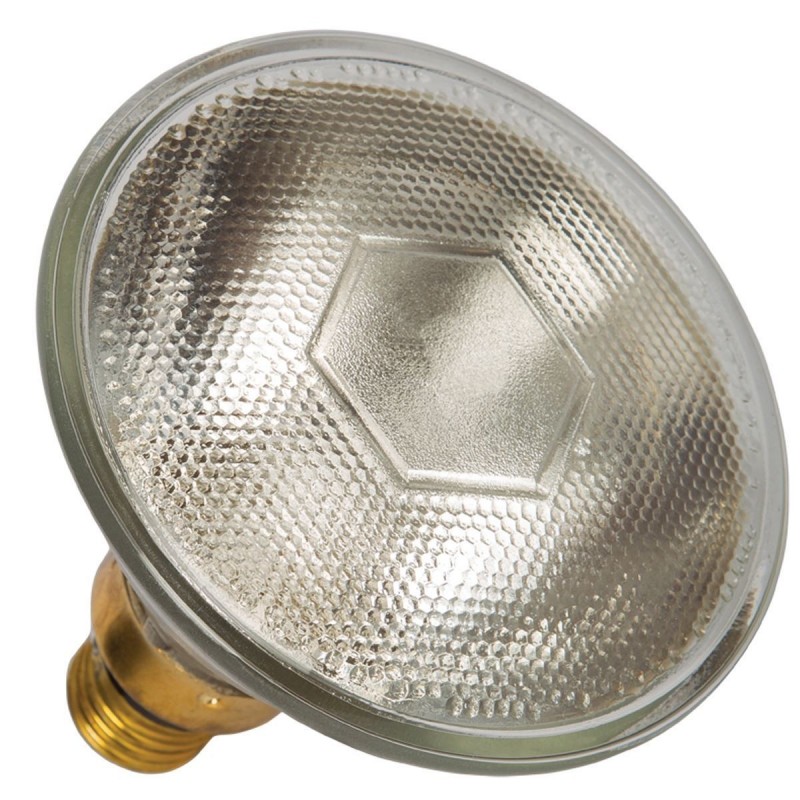 LED ПРОЖЕКТОР PAR38 80W 42V 30° ПРОЗРАЧЕН