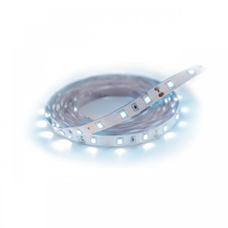 LATE LED 5m 300 CW IP65 03029