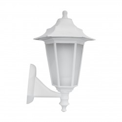 BEGONYA2 WHITE 03080