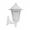 BEGONYA2 WHITE 03080