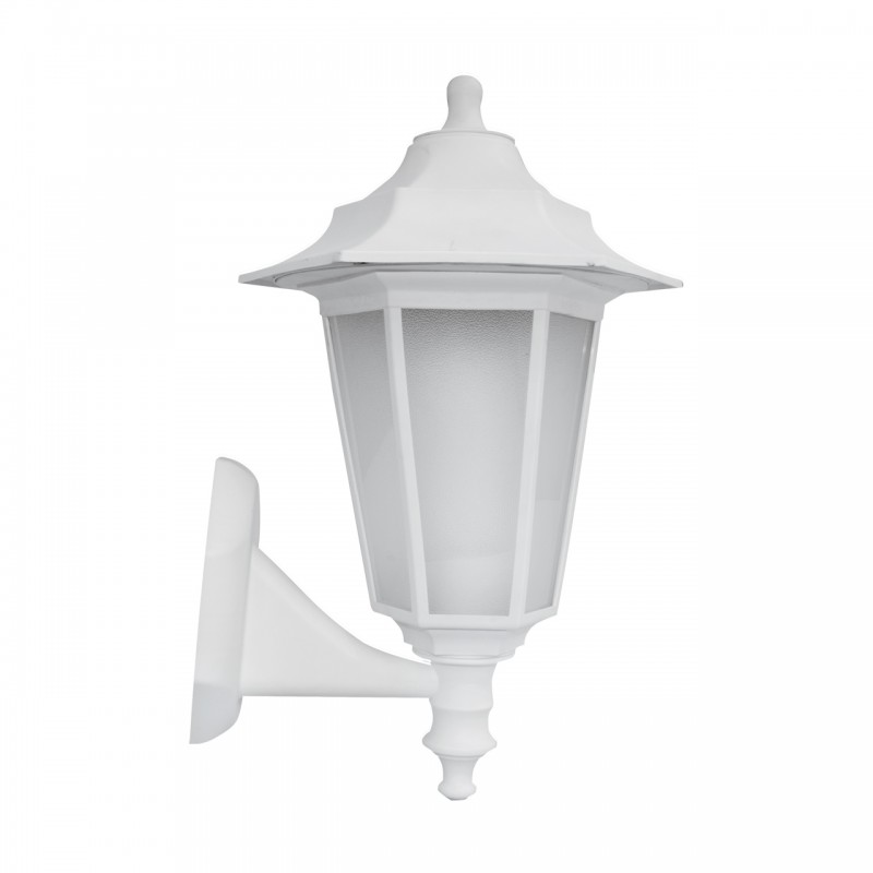 BEGONYA2 WHITE 03080 BEGONYA2 WHITE 03080