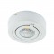 IGOR LED C 6W WHITE NW 03125