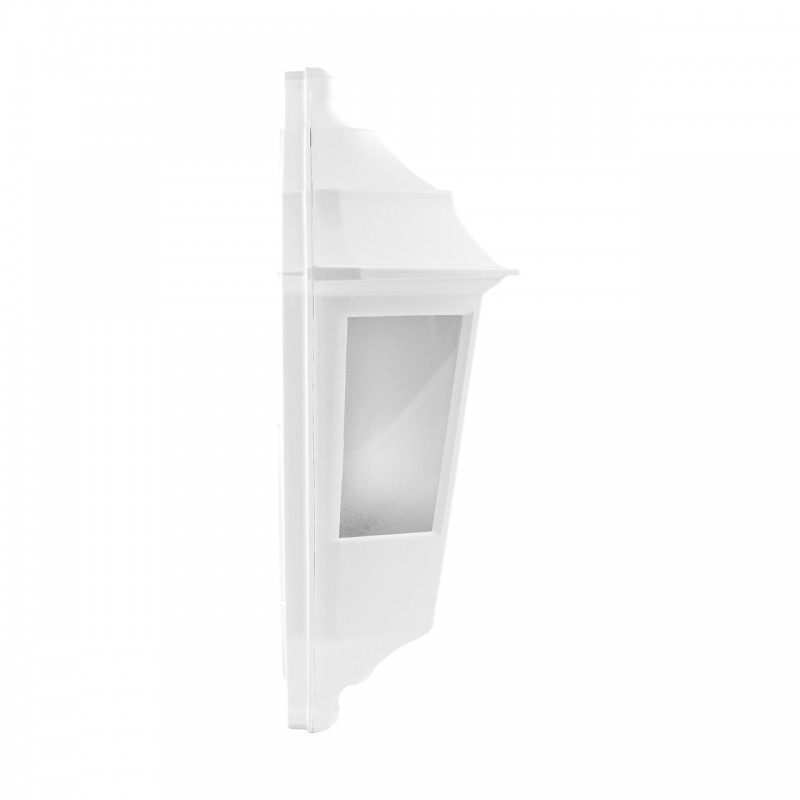 BEGONYA4 WHITE 03141