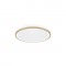 LINUS LED C 24W NW 04348