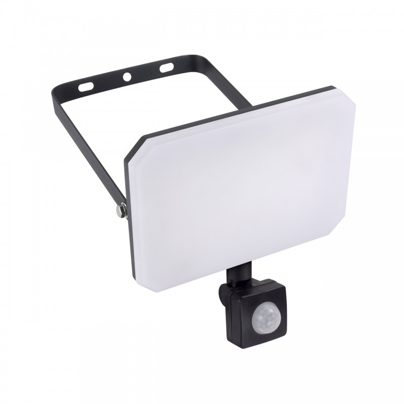 Tafla Led Projector With Pir Sensor 30W Black Neutral White