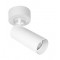 DOWNLIGHT H:150 БЯЛ REEDS GU10
