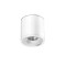 ПЛАФОН БЯЛ CALISTA GU10