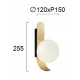 Wall Lamp Polina POLINA G9 1 x MAX 40W OPAL / GOLD  IP20 220-240 VAC  GLASS / PLATED STEEL      4266201 