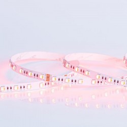 LED TAPE 5M 16W 24V RGBWW 3000K IP20 PRO 145-70245 LED TAPE 5M 16W 24V RGBWW 3000K IP20 PRO 145-70245