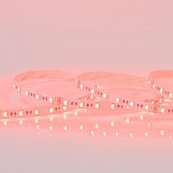 LED TAPE 5M 16W 24V RGBW 6500K 60L/M IP20 PRO 145-70247 LED TAPE 5M 16W 24V RGBW 6500K 60L/M IP20 PRO 145-70247