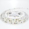 LED TAPE 5M 16W 24V 2700K IP20 PLUS 145-70278
