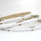 LED TAPE COB 5M 12W 24V BLUE 480L/M IP44 PRO 145-72025