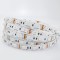 LED TAPE 5M 8W 24V RGB 60l/M IP20 PLUS 145-73305