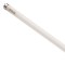 FLUORESCENT LAMP TUBE T8 TRI-PHOSHOR 36W/865 1.20cm  220-240V 147-88626