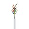 ALARM CABLE WITH BLANCHED COPPER 8Χ0,22mm 150-20212